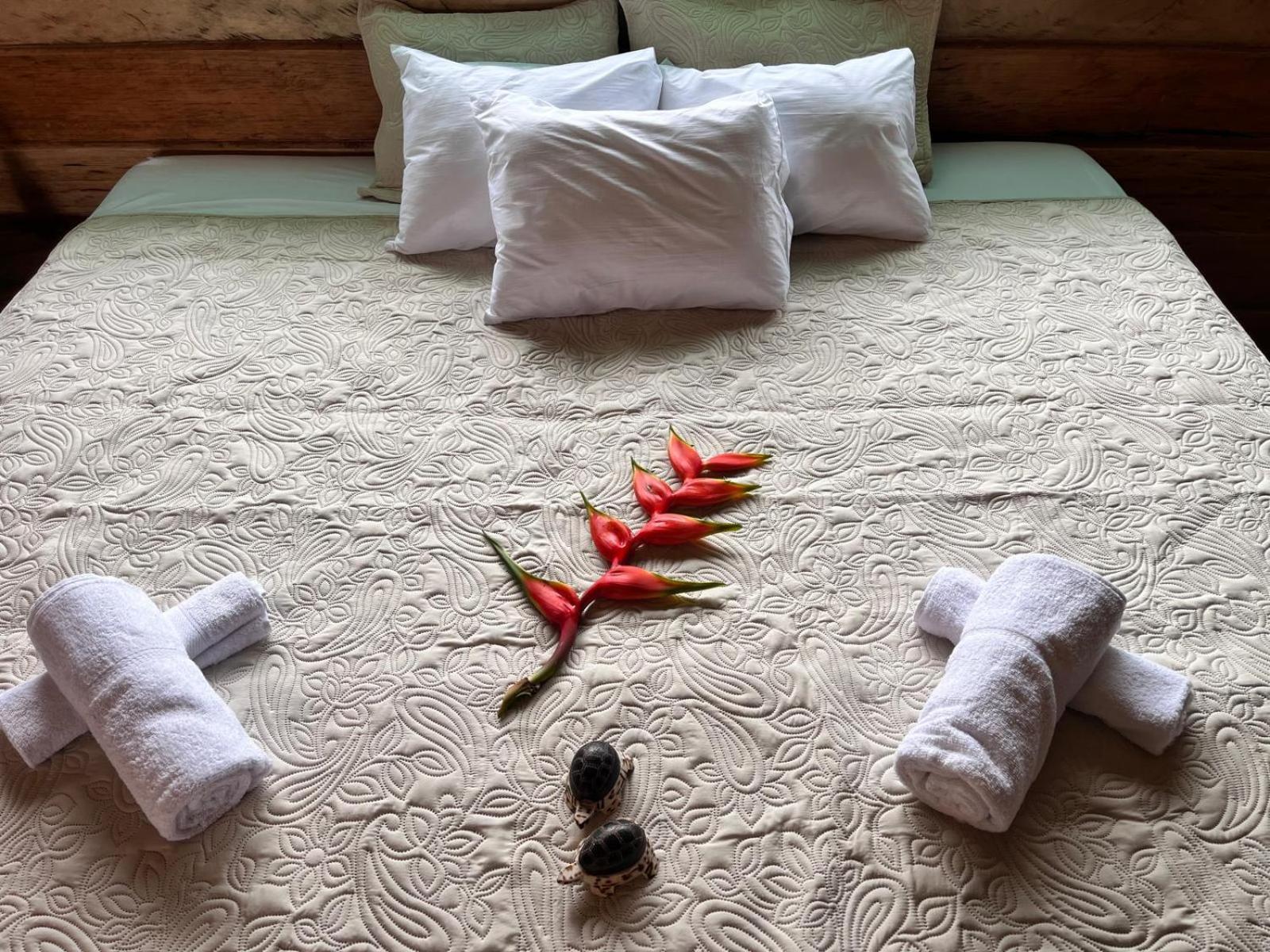 Purachata Ecolodge Iquitos Exteriér fotografie