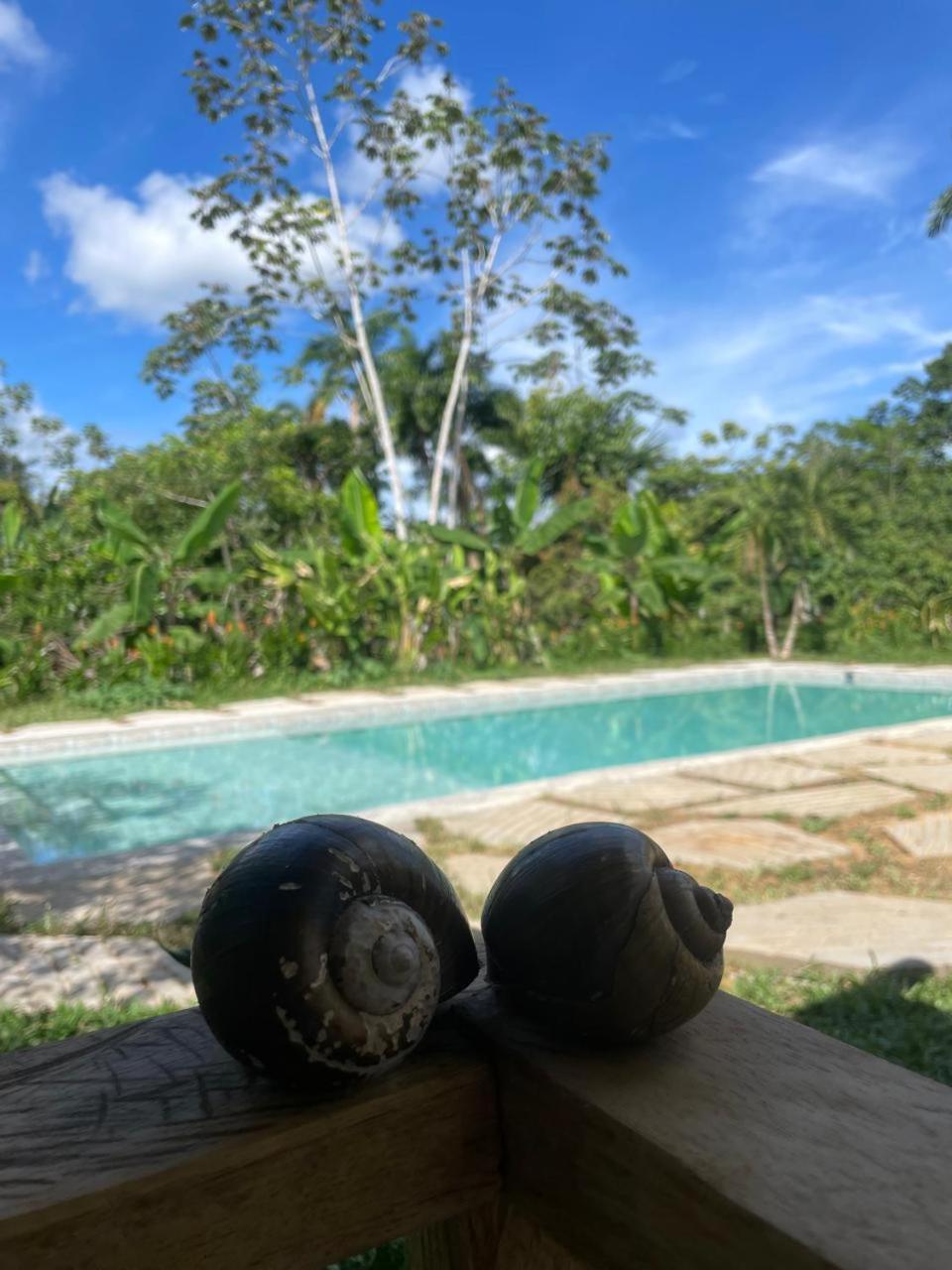 Purachata Ecolodge Iquitos Exteriér fotografie