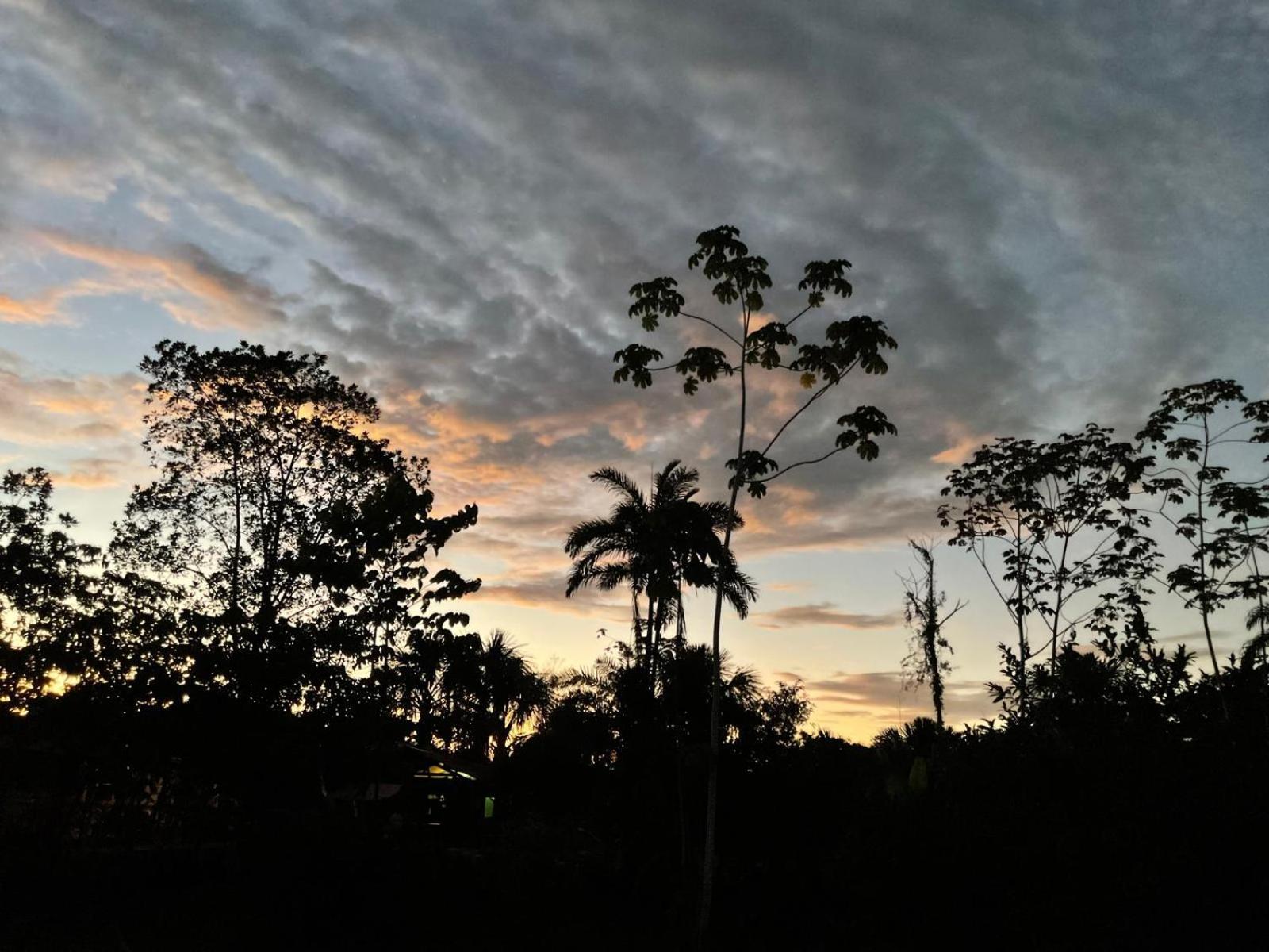 Purachata Ecolodge Iquitos Exteriér fotografie