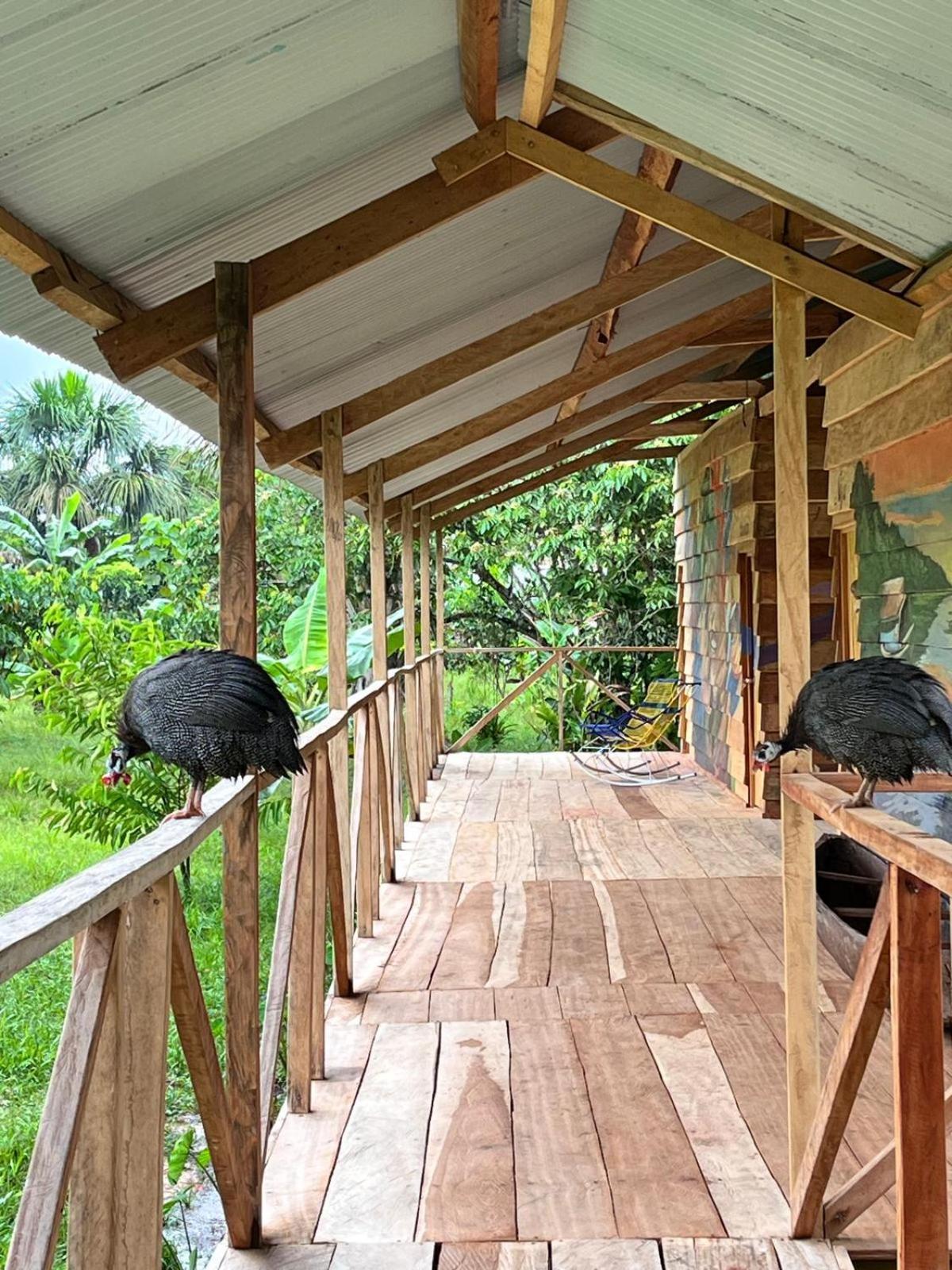 Purachata Ecolodge Iquitos Exteriér fotografie
