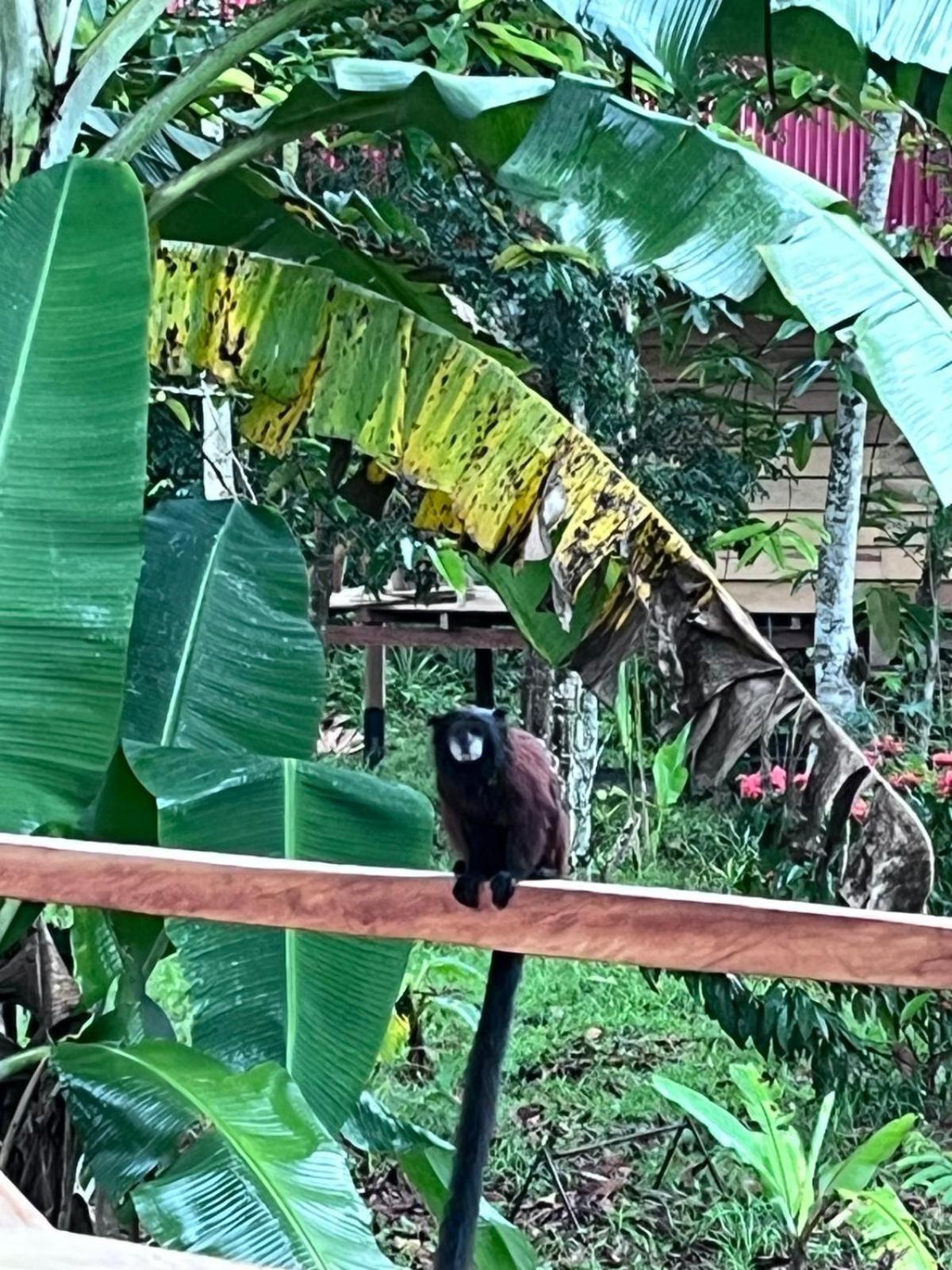 Purachata Ecolodge Iquitos Exteriér fotografie