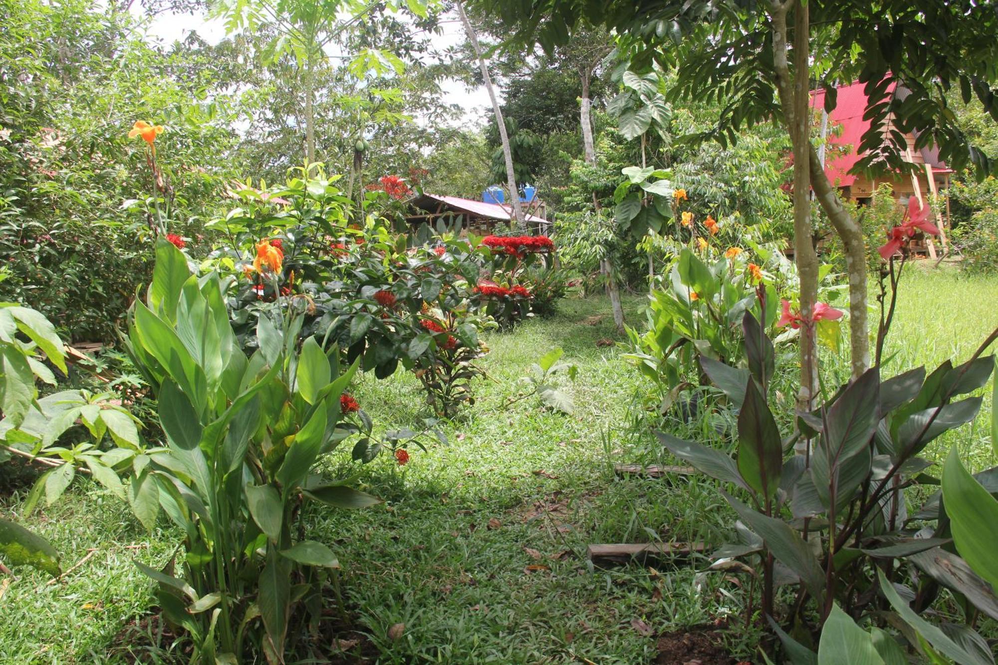 Purachata Ecolodge Iquitos Exteriér fotografie